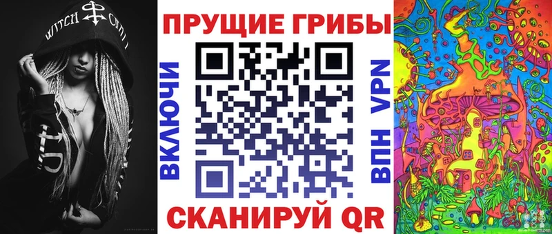 Галлюциногенные грибы Cubensis  darknet какой сайт  Верхнеуральск 